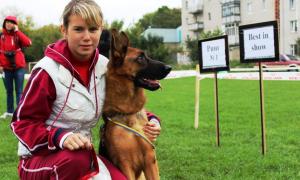 У Луцьку собаководи західного регіону похвалились своїми підопічними