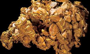 У США злочинці винесли з археологічного музею золоті самородки на $2 мільйони 