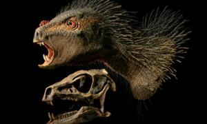Вчені знайшли рештки шаблезубого травоїдного динозавра-дикобраза