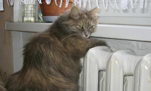 У Луцьку вже розпочався опалювальний сезон