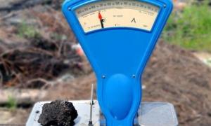 Питання продажу землі можуть винести на референдум