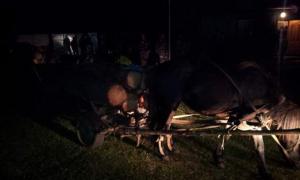 Прикордонники та лісники спіймали 4 нелегальних лісорубів