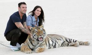 У Меган Фокс і Брайана Остіна Гріна народився син