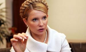 Тимошенко закликає Європу закрити кордони для Януковича і його поплічників