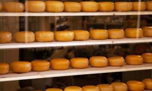 Відновлено поставки українського сиру до Росії