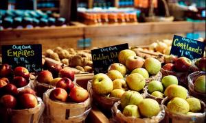 Протягом 5 років зникне чимало сортів яблук