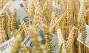 Через місяць Україна припинить експорт пшениці