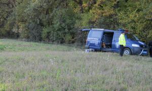 Оперативники розшукали вбивцю, який покинув жінку в лісосмузі