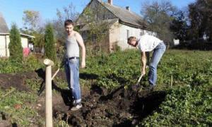 Під час розкопок в селищі Олика виявили культурний шар XVI-XVIII ст. 