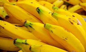ООН: Банани можуть стати другим хлібом