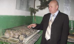 Школярів на Любомльщині частують перепелиними яйцями та фіточаєм