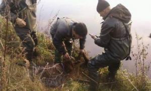 На водоймах Луцького і Горохівського районів рибоохоронці провели рейд