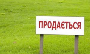 Японії пропонують вкладати гроші в українські землі