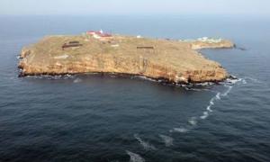Острову Зміїний загрожує зникнення