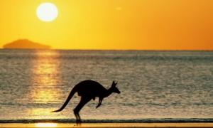 Австралія все більше уваги приділяє альтернативним джерелам енергії