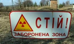 Олігархи забудовують землю під Чорнобилем елітними котеджами
