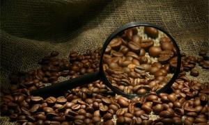Кава арабіка може зникнути через 70 років через глобальне потепління