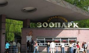 Київський зоопарк отримав нового директора