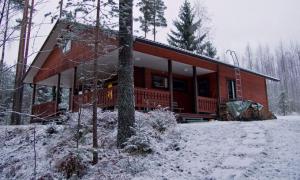 У Фінляндії 32 тисячі будинків опинилися без світла через снігопад