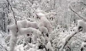 Україну засипає снігом