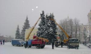 Сьогодні у Луцьку розпочали прикрашати новорічні ялинки