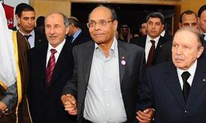 Маніфестанти закидали камінням президента Тунісу