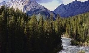Сім'я житиме в будинку на альтернативній енергії в лісах Канади