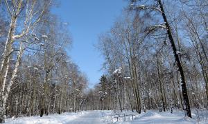 Далекий Схід Росії та Сибір потерпають від лютих морозів