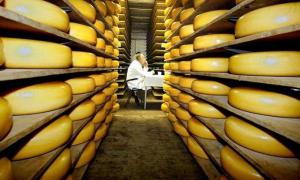 Росія продовжує контролювати всі партії українського сиру