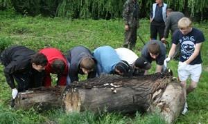 У ботанічному саду відбулась екологічна акція