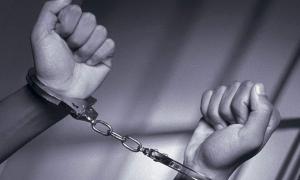 Психіатр: У 2012 році українці дійшли до чергової стадії озвіріння