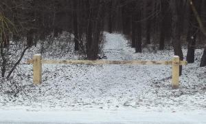 Жителі Клепачева нарікають на те, що їх не пускають до лісу