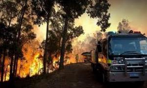 Австралія потерпає від чисельних пожеж