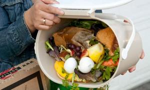 Половину їжі на Землі викидають