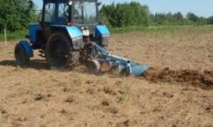 У селах Волині можуть бути створені обслуговуючі кооперативи