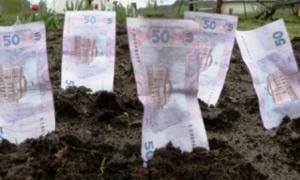 У понад 1000 населених пунктів Волині поновлена грошова оцінка земель