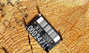 До лютого всі лісгоспи перейдуть на електронний облік деревини