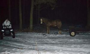 Двоє волинян намагалися доправити підводою в Польщу 12 ящиків сигарет