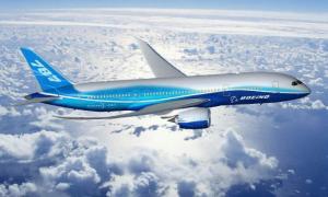 В Європі заборонили польоти «Лайнерів мрії»