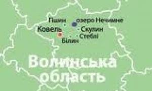 У Держземагентстві Волині розповіли про кадастрову карту