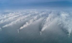 У Японії з’явиться найбільша в світі вітрова електростанція 