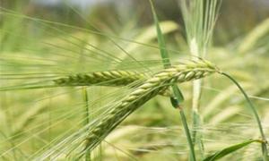 Губернатор Волині обговорив питання розвитку села