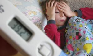 На Івано-Франківщині жінка і її 8-річний син померли після лікування настоянкою мухоморів