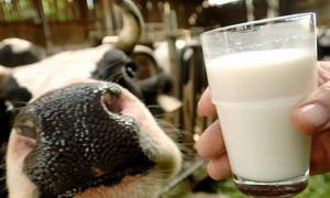 Україна заборонила ввозити молочну продукцію з трьох білоруських підприємств