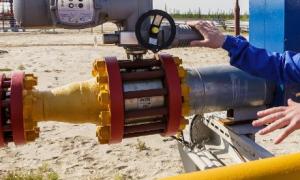 Україна майже на третину скоротила імпорт газу