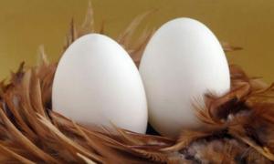 Найбільший в Україні яєчний холдинг збільшив виробництво продукції