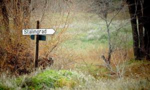 Російське місто Волгоград перейменували у Сталінград