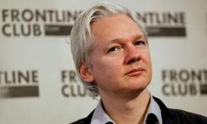 Джуліан Ассанж візьме участь у виборах в сенат Австралії