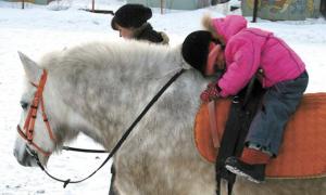 Лікування кіньми — остання надія для багатьох хворих людей
