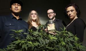 Штат Вашингтон набирає на роботу досвідчених наркоманів